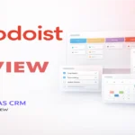 todoist review