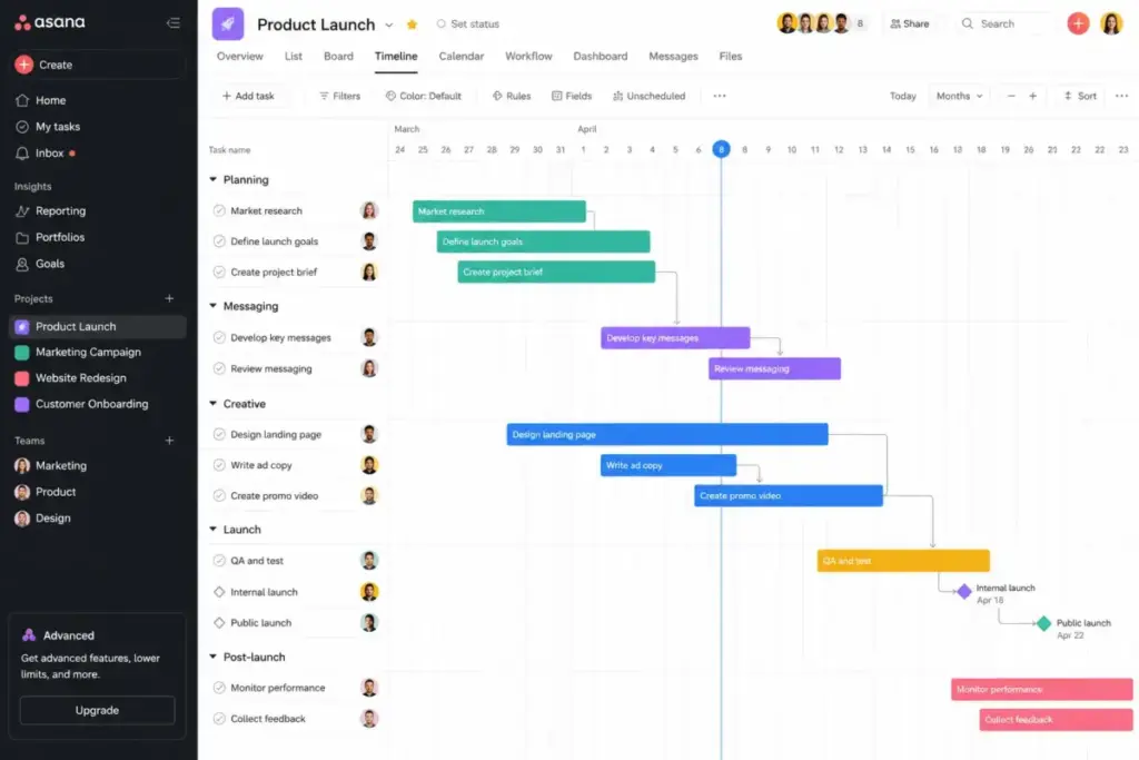 Asana Timeline view mockup showing product launch tasks with dependencies, milestones, due dates, and team assignments.