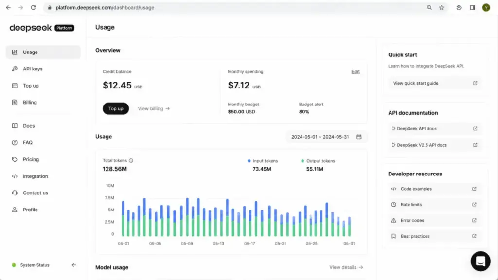 Screenshot-style mockup of the DeepSeek API dashboard showing token usage metrics, credit balance, and developer documentation links.